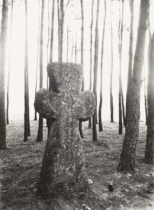 Steinkreuz : Steinkreuz (Tatzenkreuz) mit eingeritztem Schwert im Kiefernwald am Leibnitzweg