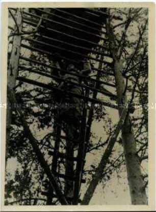Deutscher Artillerist auf Beobachtungsposten in einem Baum