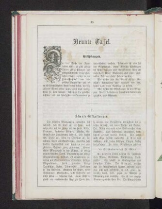 Neunte Tafel.