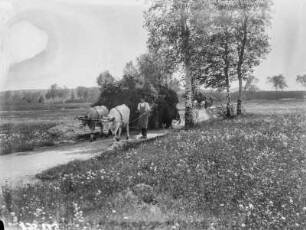 Burgk. Bauern mit Ochsengespännern