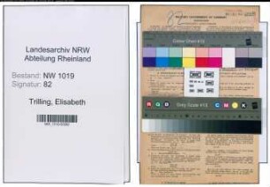Entnazifizierung Elisabeth Trilling , geb. 19.04.1892 (Lehrerin)
