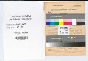 Entnazifizierung Walter Pantel, geb. 02.02.1899 (Feuerwehrmann)