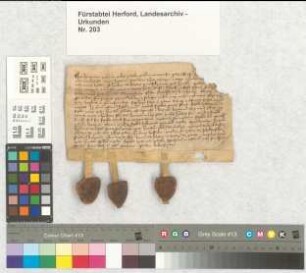 Der Ritter Henricus Gogravius mit seinen Söhnen Henricus, Wernerus, Johannes, Reynerus, Otto und Hermannus tauscht mit dem Proconsul der Altstadt Hermann de Hagen eine Hörige aus. Zeugen: Die Söhne und Proconsul und Consule der Altstadt.