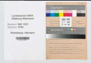 Entnazifizierung Hermann Wichelhaus , geb. 02.03.1894 (Angest.)