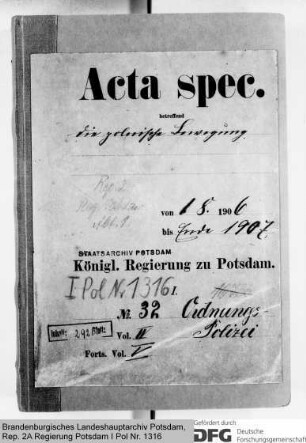 Die polnische Bewegung