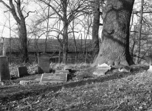 Biesenthal, Berliner Chaussee/Ecke Kirchhofsweg. Ehemaliger Jüdischer Friedhof. Ansicht mit Grabsteinen und Gedenktafel
