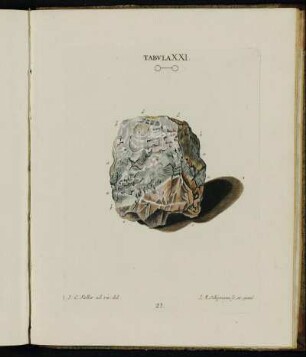 Tabula XXI.