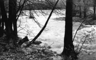 Triebischtal-Garsebach. Die Triebisch bei der Fichtenmühle