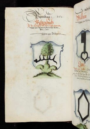 82v Waldenbuch