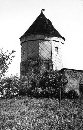 Löbau-Wohla. Holländermühle