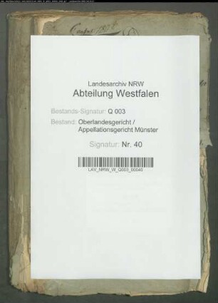 Besoldung der Forstdienerschaft (Vorakten des hessischen Oberappellationsgerichts Darmstadt)