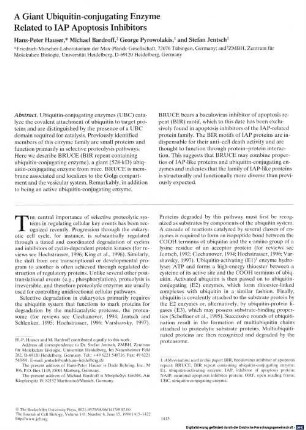 A giant ubiquitin-conjugating enzyme related to IAP apoptosis inhibitors