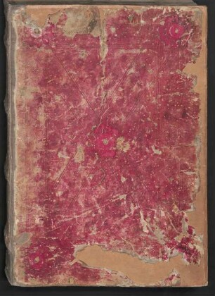 Die 24 Alten - BSB Cgm 505
