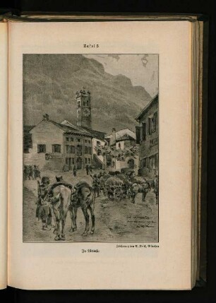 Tafel 5. In Vittorio