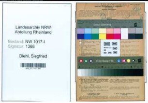 Entnazifizierung Siegfried Diehl , geb. 19.10.1902 (Sachbearbeiter)