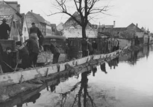 Hochwasser 1955 am Rhein bei Speyer