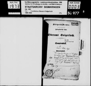 Bietenhausen: Bewilligung zur Annahme von Weidschafen; Weideabteilung mit Höfendorf und Hirrlingen; Triebwegsstreitigkeiten mit Höfendorf und Wachendorf