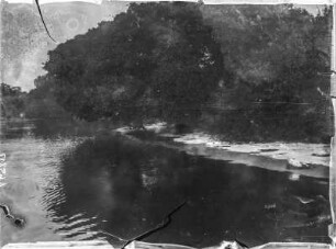 Insel Iwawa : Die Küste der Insel Iwawa im Lake Kivu