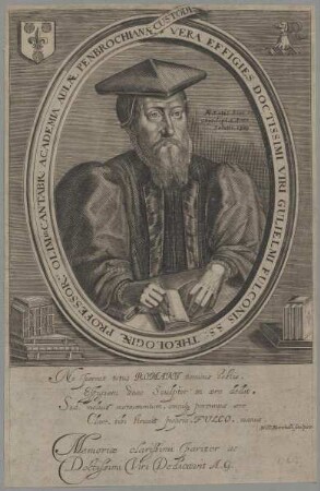 Bildnis des Gulielmus Fulconis