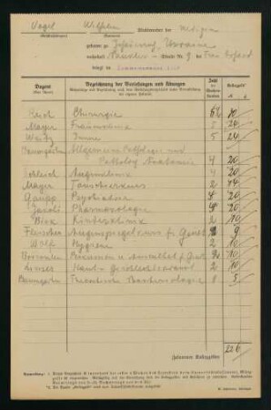 Belegungen Sommersemester 1919