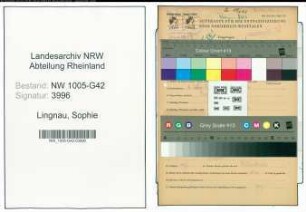 Entnazifizierung Sophie Lingnau , geb. 06.07.1906 ()