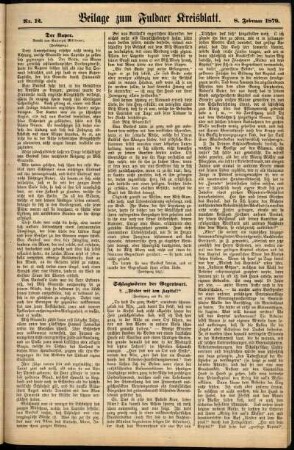 Zweite Ausgabe vom Samstag, den 08. Februar 1879.