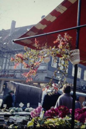 Marktplatz, Detmold, Wochenmarkt; farbig