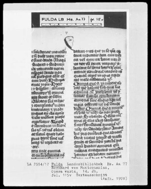 Bernhard von Montecassino, Opera varia — Gesichtsprofil, Folio 115 verso