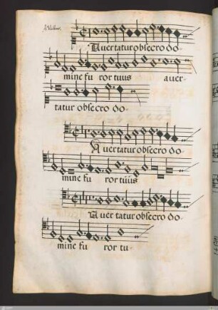 Adrianus Willart : Avertatur obsecro