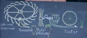 Schemazeichnung: Erntetechnik, Zuckerrübe, Köpforgan, Rodeorgan