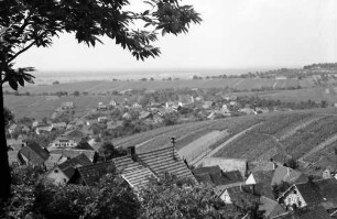 Varnhalt: Blick vom Weinberg auf Ort und die Rheinebene (Richtung Sinzheim)