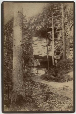 Sächsische Schweiz, Rathener Gebiet. Zscherregrund bei Wehlen. Blick zum "Steinernen Saal"