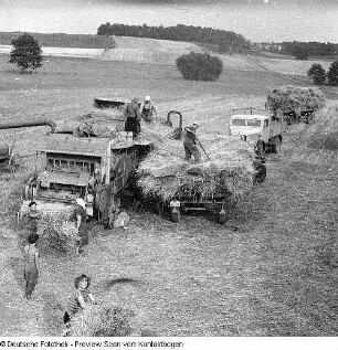 Landwirtschaftliche Produktionsgenossenschaft (LPG) Berbisdorf (Versammlung, Kühe, Feldarbeit)