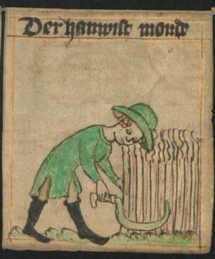 Monatsbild: Juli