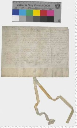 Bürgermeister und Rat der Stadt Lüneburg bestätigen einen Verkauf für die Erben G. D. von Dassels an Joh. von Dassel, Reppenstedt.
