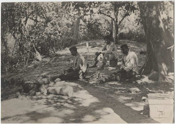 "Sous les guatas de la rivière Caracara"