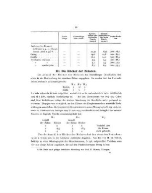 III. Die Höcker der Molaren