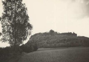 Festung Königstein