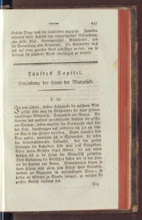 Fünftes Kapitel. Entzündung der Häute der Blutgefässe