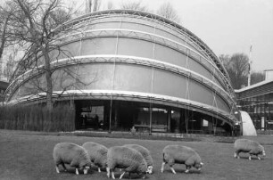 Brüssel: Schafe vor Ausstellungspavillon, Niederlande