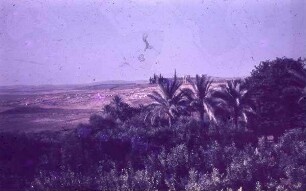 Latrun Bl. V. Trapp. K. auf Toron d. Chir [?]