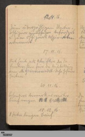 12. November 1916 - 17. September 1917, Kurze Tagesnotizen