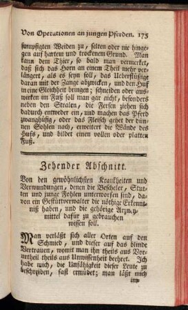Zehender Abschnitt. Von den gewöhnlichsten Krankheiten und Verwundungen, [...].