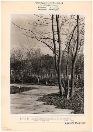 Reichsgartenschau 1939 auf dem Killesberg, Stuttgart: Staudenvergleichsschau