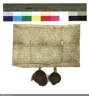 Propst, Dechant und Konvent von Neuenberg leihen Simon Heil ein Viertel des Klosterhofes in Tiefengruben