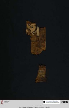 Fragment: Abgelöster alter Rücken