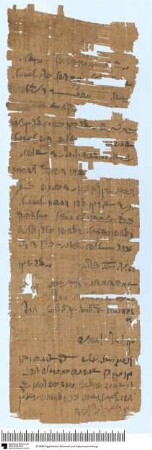 Demotischer Papyrus, Hochformat-Brief, fehlerhafte Verbuchung von 40 Artaben Weizen