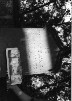Grabstein 107 (Index: 100086507) Material: Sandstein Zustand: verwittert Maße HxBxT: 167x54x16 cm Beschreibung: Stele, Sockel, Kielbogenabschluß: Grabstein 107A (Nachholaufnahme)