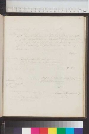Einträge und Illustrationen Bl. 81 - 100