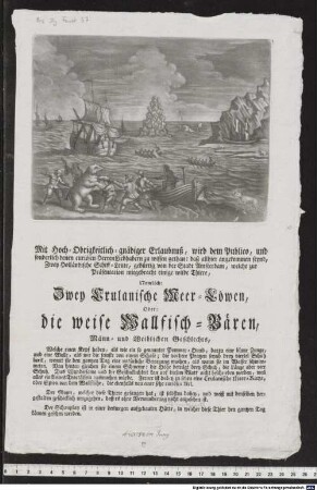 [Mit Hoch-Obrigkeitlich-gnädiger Erlaubnuß, wird dem Publico, und sonderlich denen Liebhabern zu wissen gethan: daß allhier angekommen seynd, Zwey Holländische Schiff-Leute, gebürtig von der Stadt Amsterdam, welche zur Präsentation mitgebracht einige wilde Thiere, Nemlich: Zwey Crulanische Meer-Löwen, Oder: die weise Wallfisch-Bären, Männ- und Weiblichen Geschlechts ...]